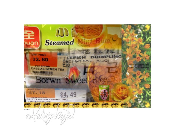 digital collage of happily mis-translated malaprops