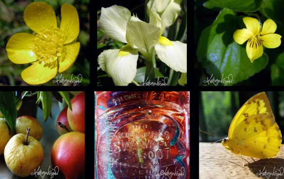 yellow photo collage