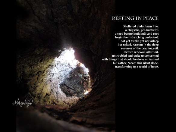 Resting in Peace tree hollow + text