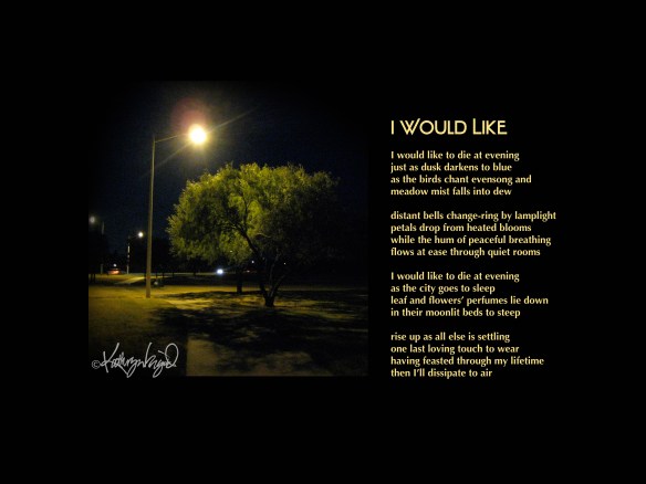 I Would Like night in the park + text