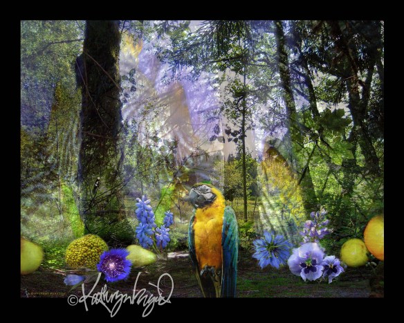 digital photocollage