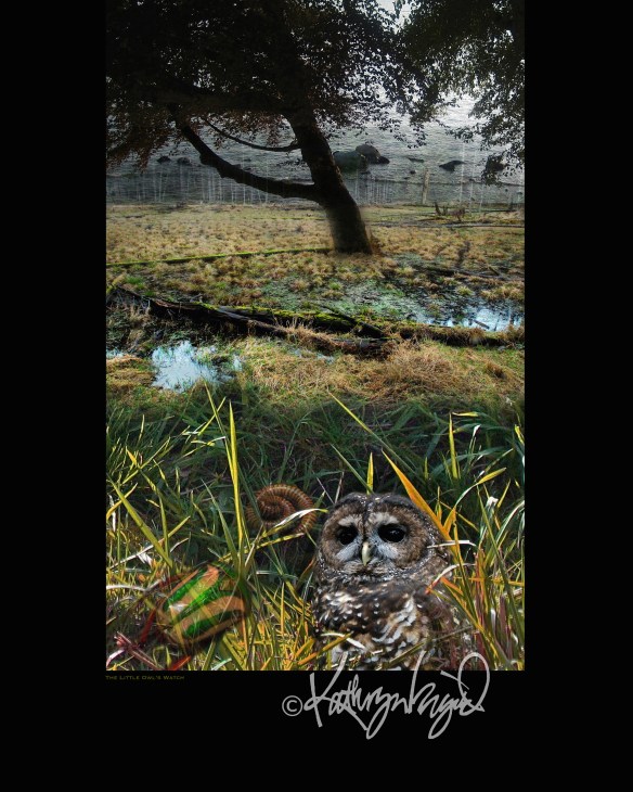 Creatures' Hideaway digital photocollage