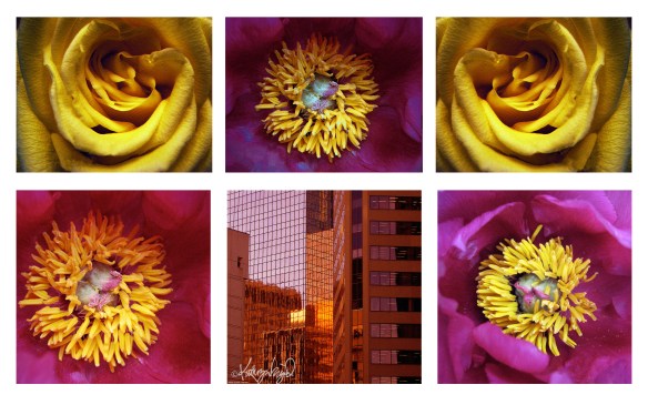 digital photo montage