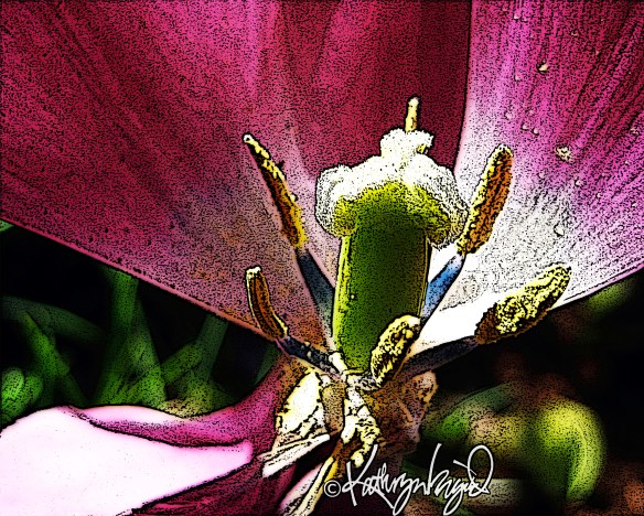 digital photo-illustration