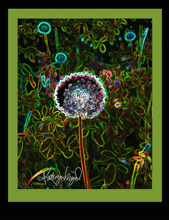 digital graphic illustration