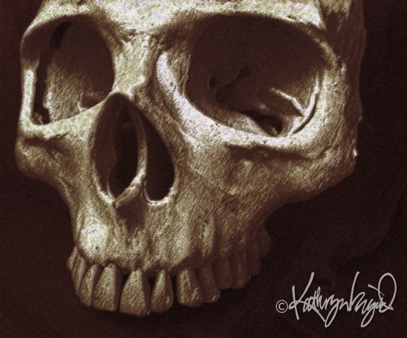 digital painting from a photograph