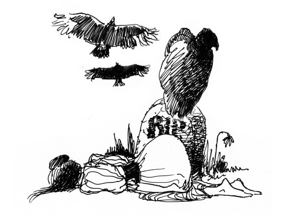 Final Frame pen & ink