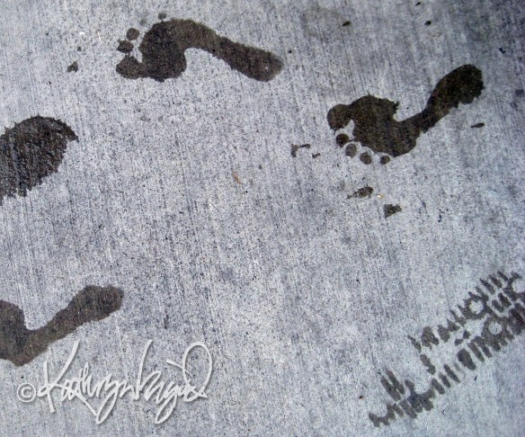 Concrete Evidence photo