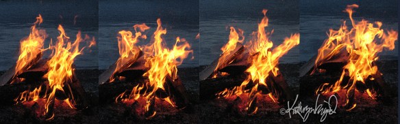 digital painting from photos