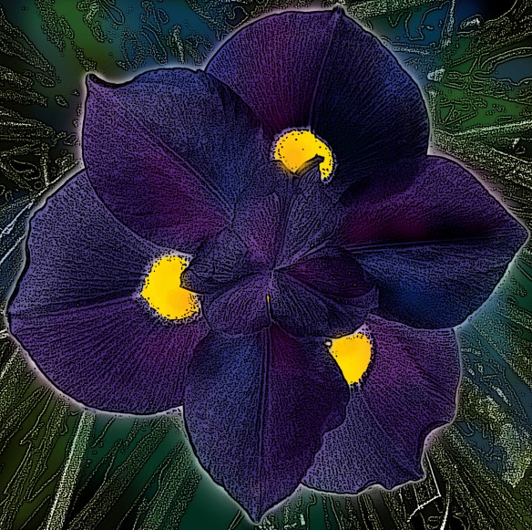 digital painting from a photo