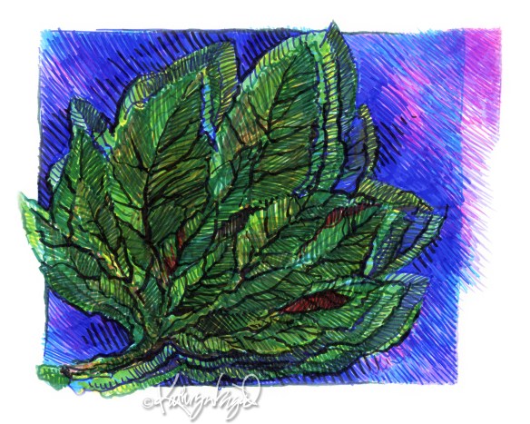 colored markers on paper