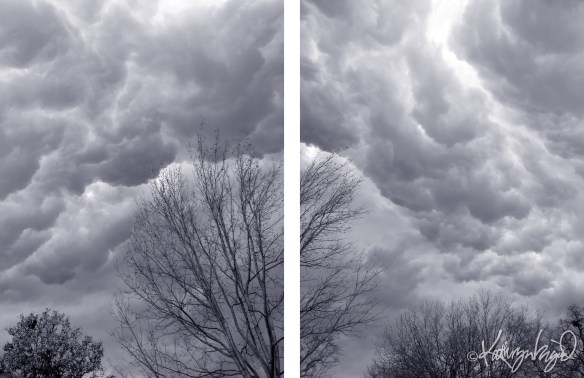 photo diptych