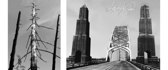 digital photo art montage