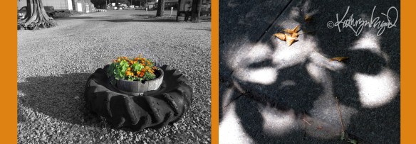 digital photo art montage