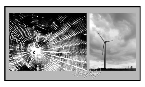 digital photo art montage