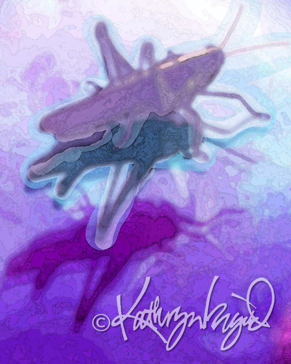 digital illustration from a photo