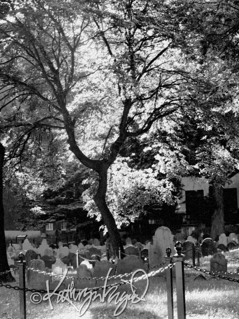 digital illustration