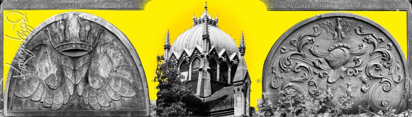 digital illustration