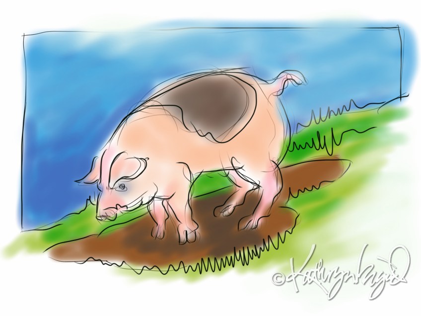 digital illustration