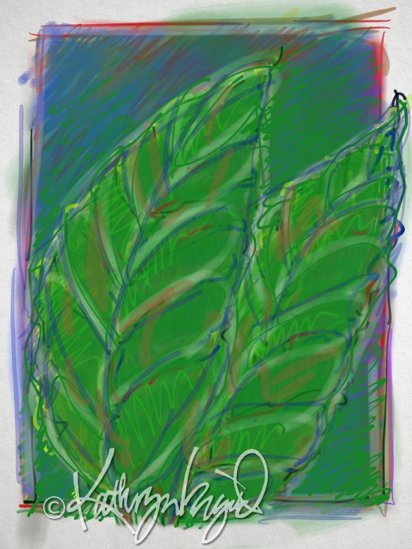 digital illustration