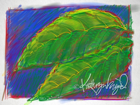 digital illustration