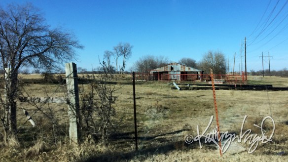 digital painting from a photo