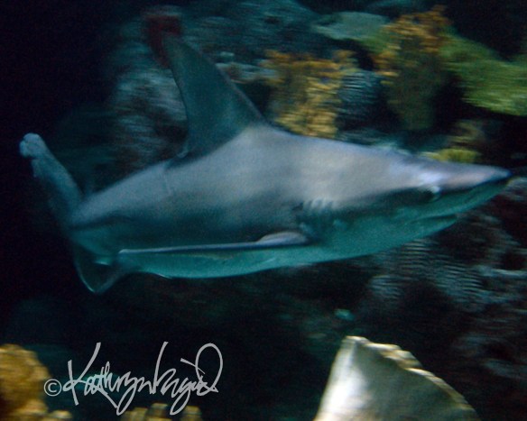 digital painting from a photo