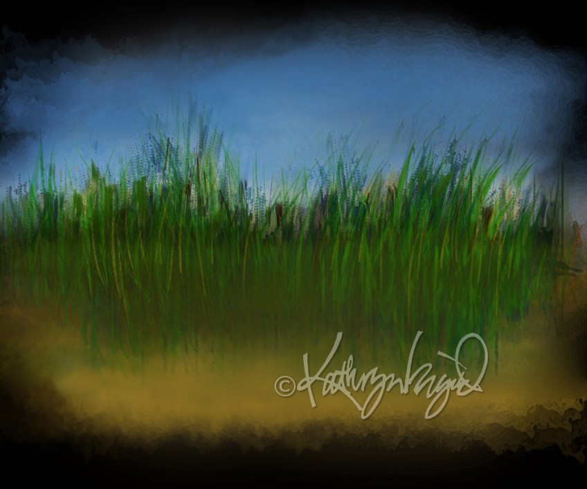 digital illustration