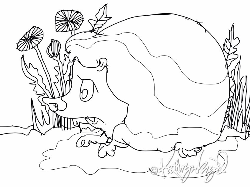 digital drawing (BW)