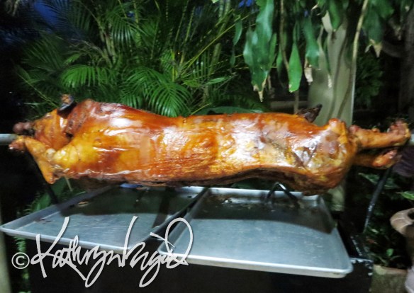 Photo: The Pig in All Its Glory