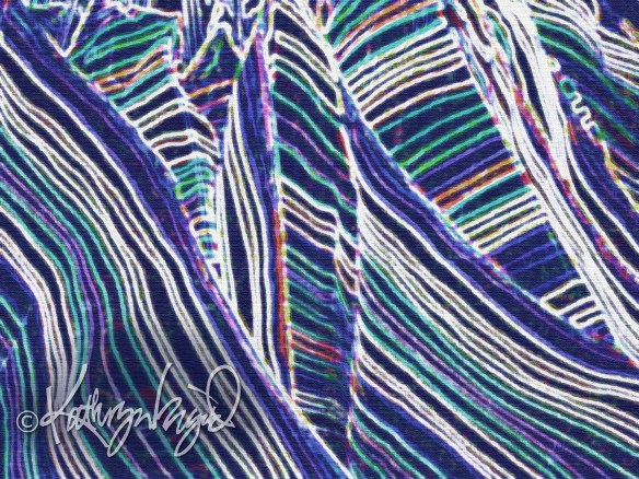 Digital illustration from a photo: The Fabric of My Life