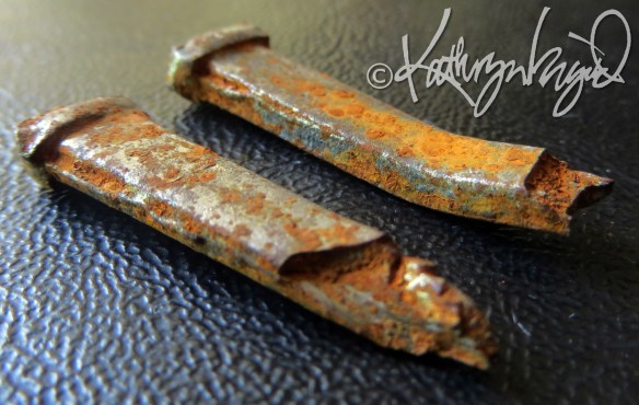 Photo: Tough as Nails