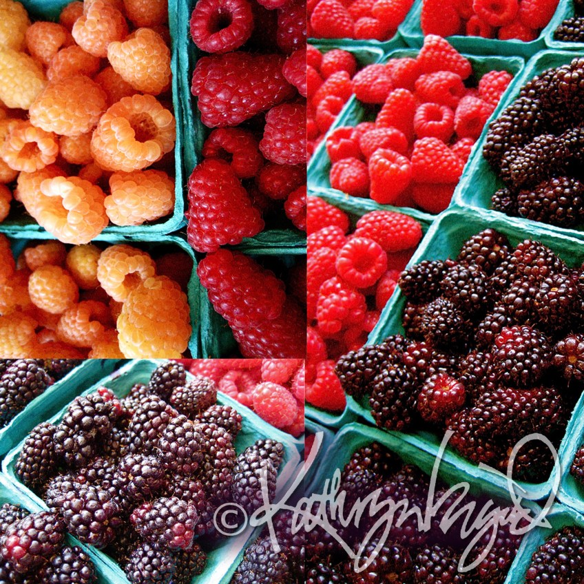 Photo: All Sorts of Berries