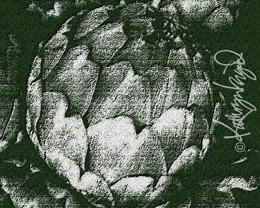 Digital illustration from a photo: Antique Artichoke