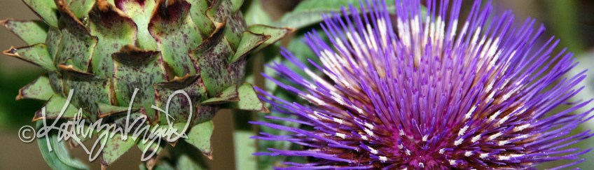 Photo: The Big Thistle
