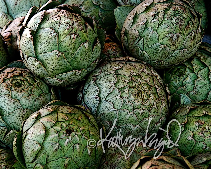 Digital illustration from a photo: Artichoke Arrangement