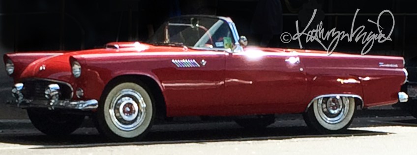 Photo: One for the Road