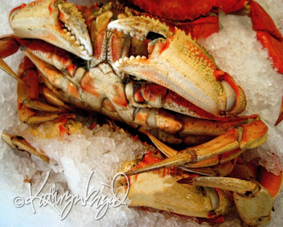 Photo: Crab, Chillin'