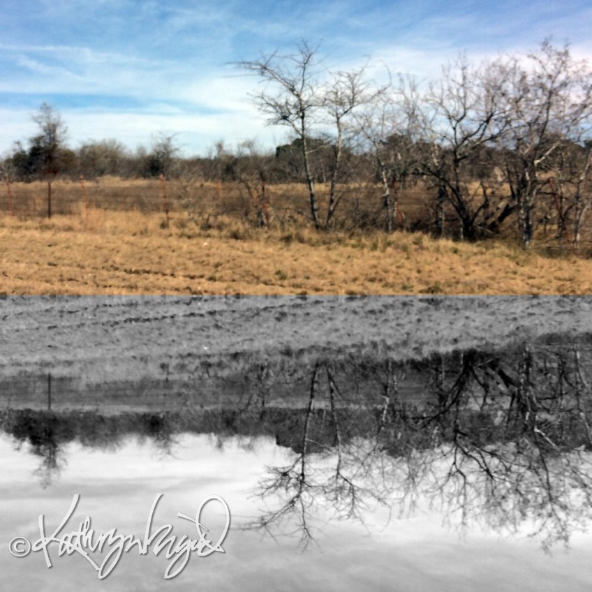 Digital illustration from a photograph: Languid