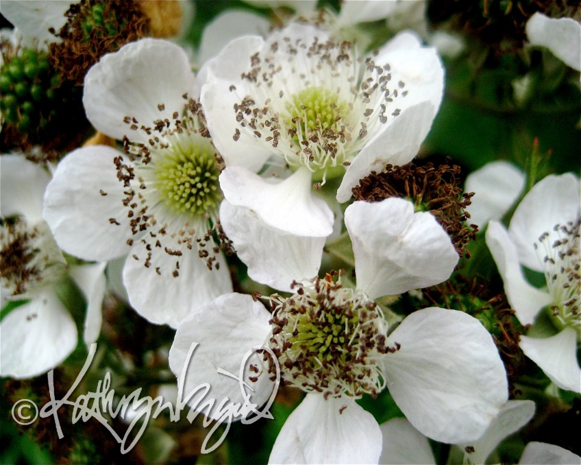 Photo: Well Seasoned 2