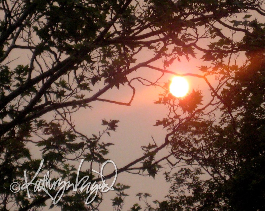 Photo: Well Seasoned 4