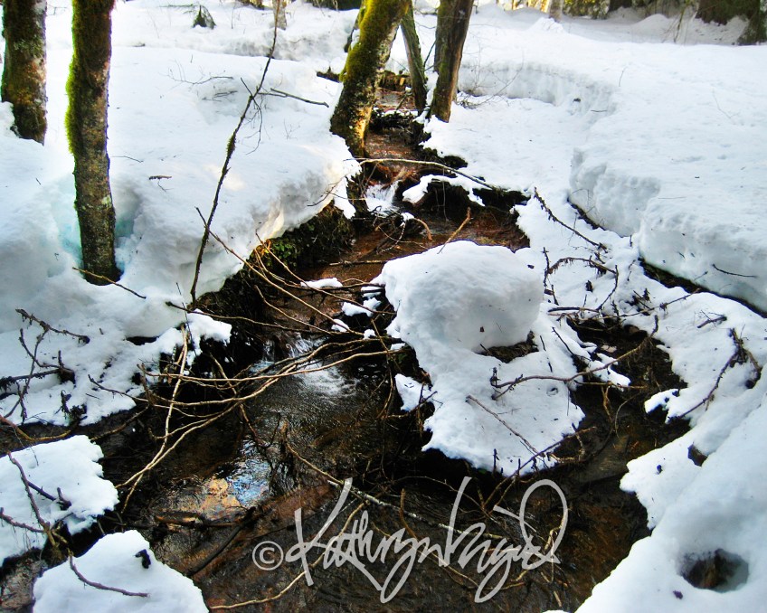 Photo: Well Seasoned 5