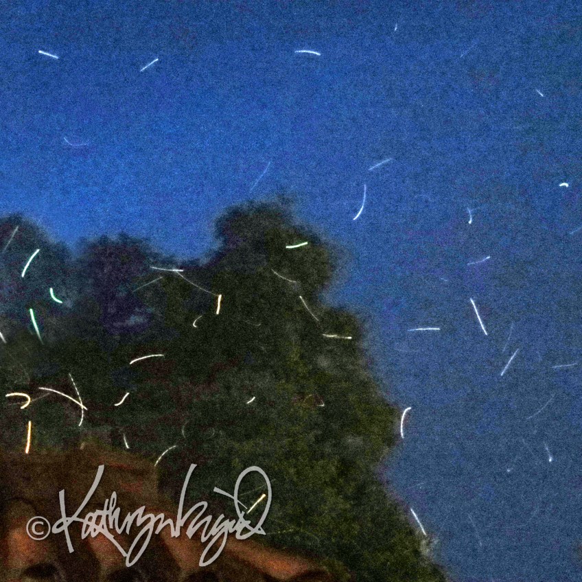 Photo: Element of Surprise 2