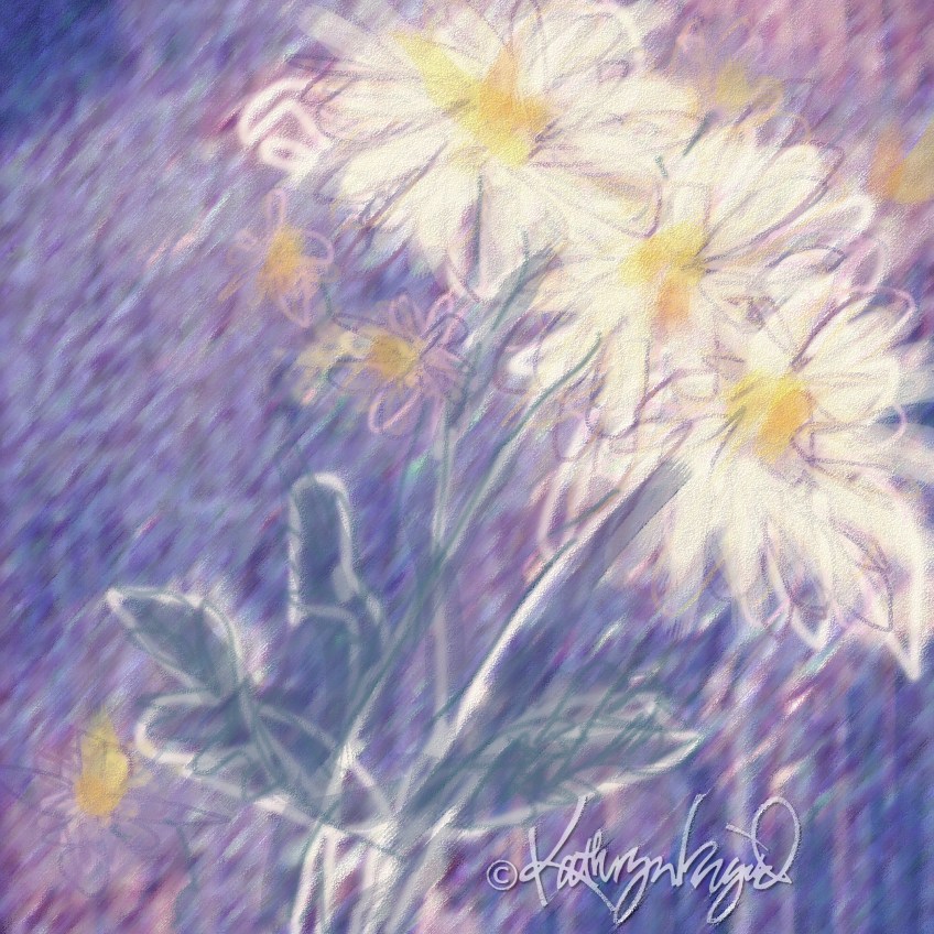 Digital illustration: Wild Daisies 1