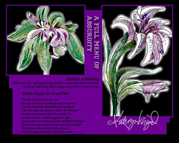 Digital Illustrations + text: A Full Menu of Absurdity