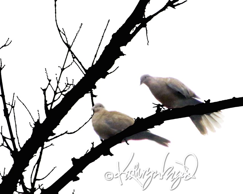 Digital illustration from a photo: They were Just Talking