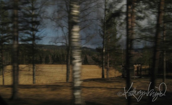 Photo: Seen from a  Train