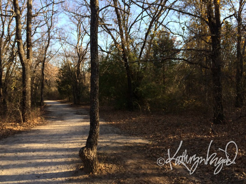 Photo: The Long Road Ahead