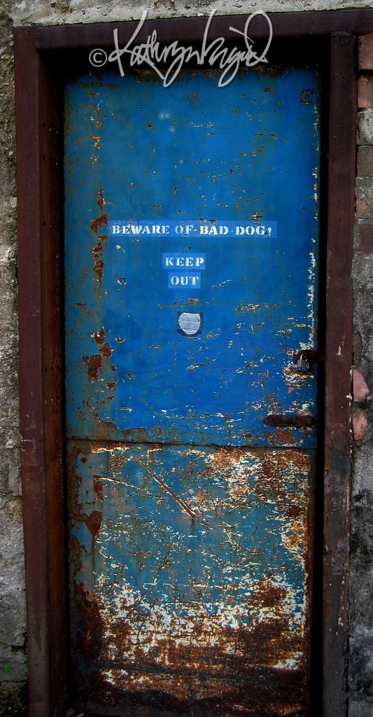 Photo: Beware of Bad Dog