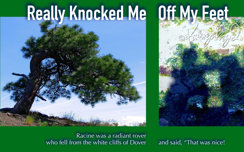 Photos + text: Really Knocked Me Off My Feet 1